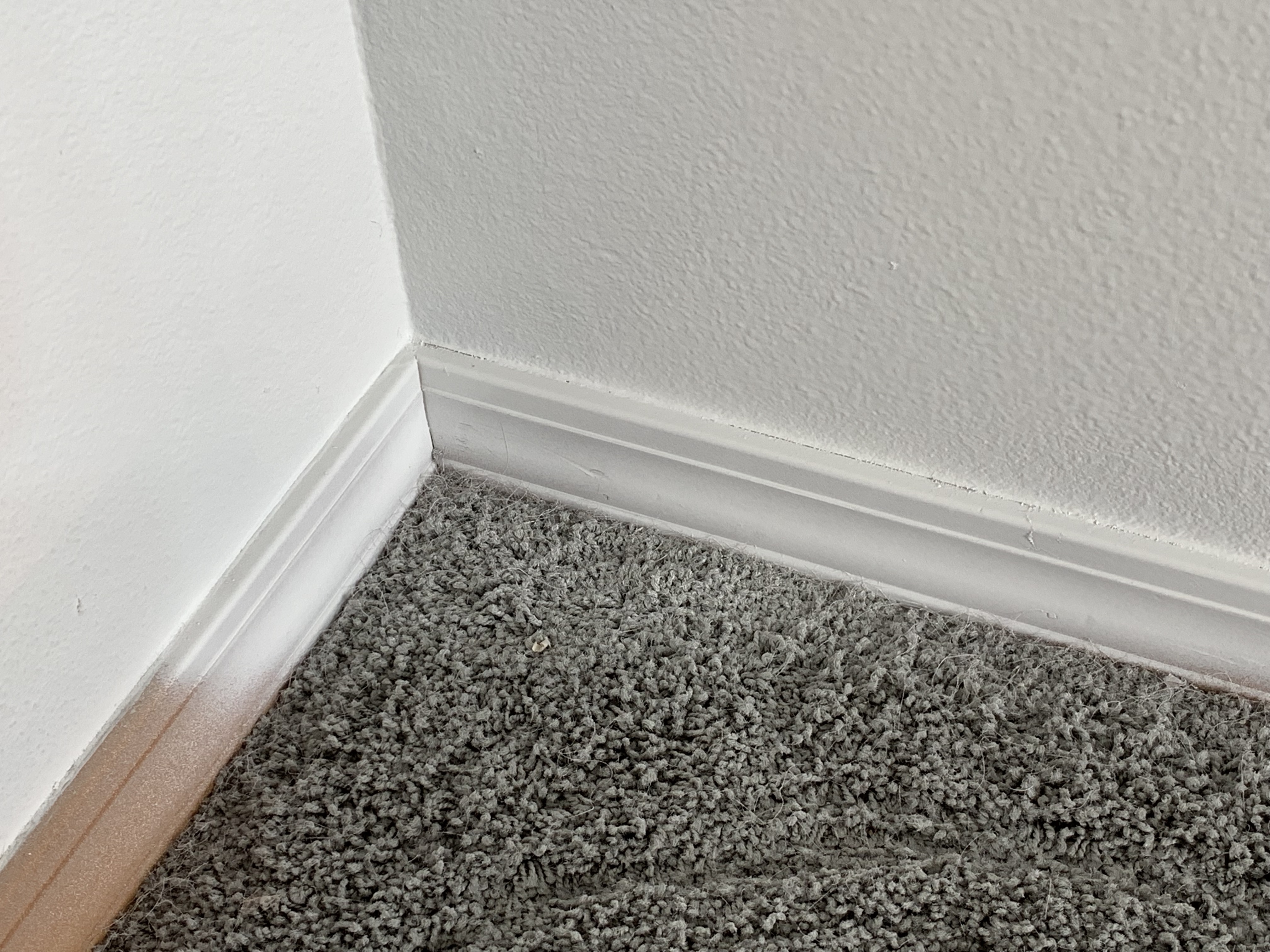 FwcFjYIYTtijZ6HF62cmlQ