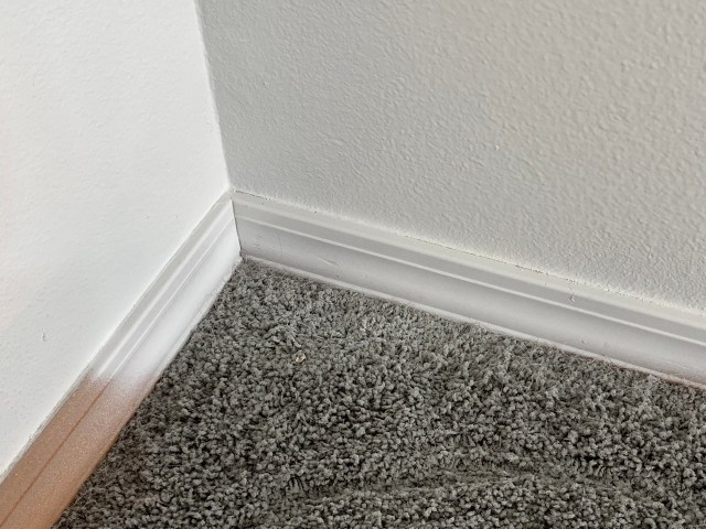 FwcFjYIYTtijZ6HF62cmlQ